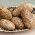 Seed Potatoes - Heirloom Russet Burbank
