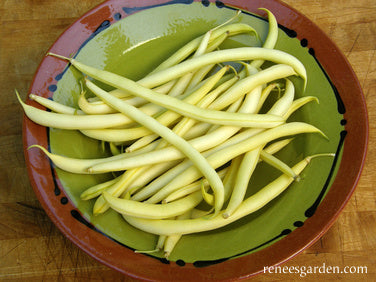 Pole Filet Beans - French Gold Organic