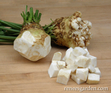 Celeriac/Celery Root - Prinz