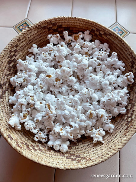 Heirloom Popcorn - Mini Pink Pearls