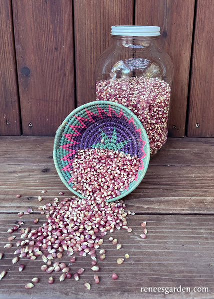 Heirloom Popcorn - Mini Pink Pearls