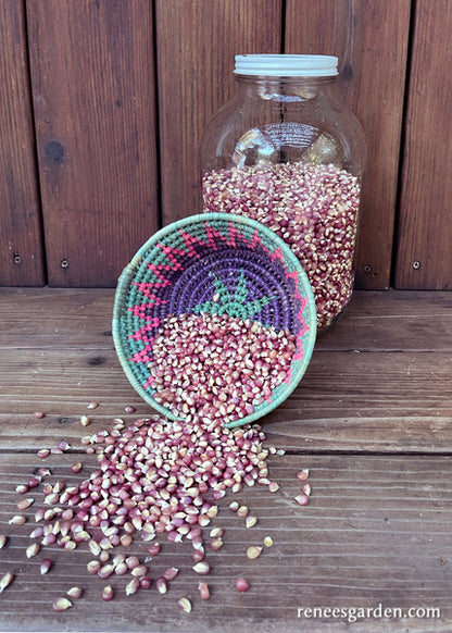 Heirloom Popcorn - Mini Pink Pearls