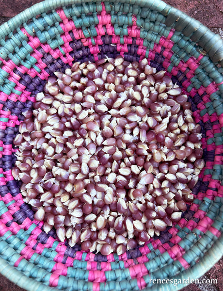 Heirloom Popcorn - Mini Pink Pearls