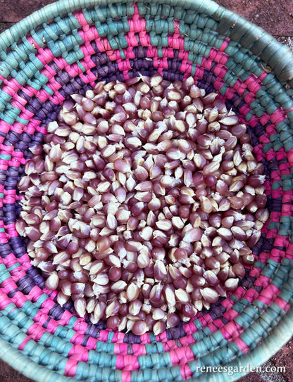 Heirloom Popcorn - Mini Pink Pearls