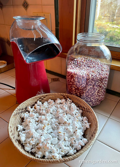 Heirloom Popcorn - Mini Pink Pearls