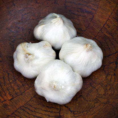 Seed Garlic - California Early