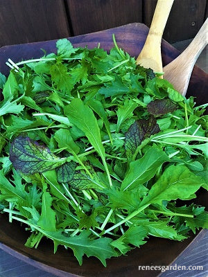 Signature Salads - California Spicy Greens