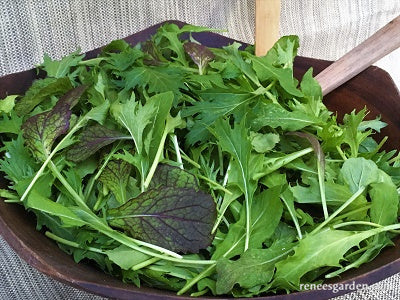 Signature Salads - California Spicy Greens
