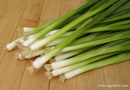 Salad Scallions - Parade
