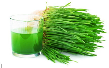 Bonus Pack - Wheatgrass For Juicing Organic